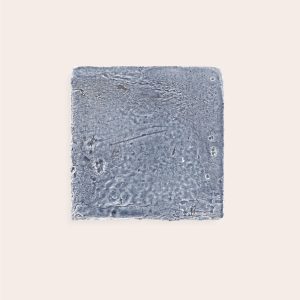 Birbante Indaco – 10 x 10 cm (Campione)