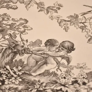 Tessuto toile de jouy in cotone 100% in altezza 280