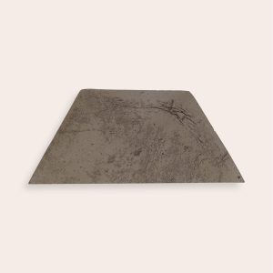 Trapezio – Tortora